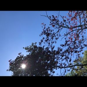 Meet your Posher, Lekita